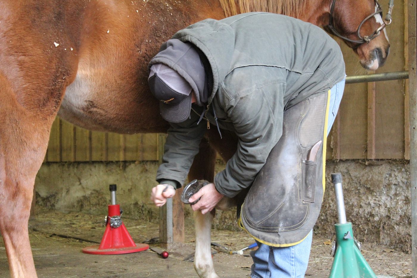 Farrier students shoeing horses at Oregon Farrier School